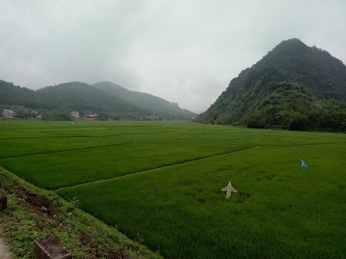 Phong Nha Rice Field Homestay Extérieur photo