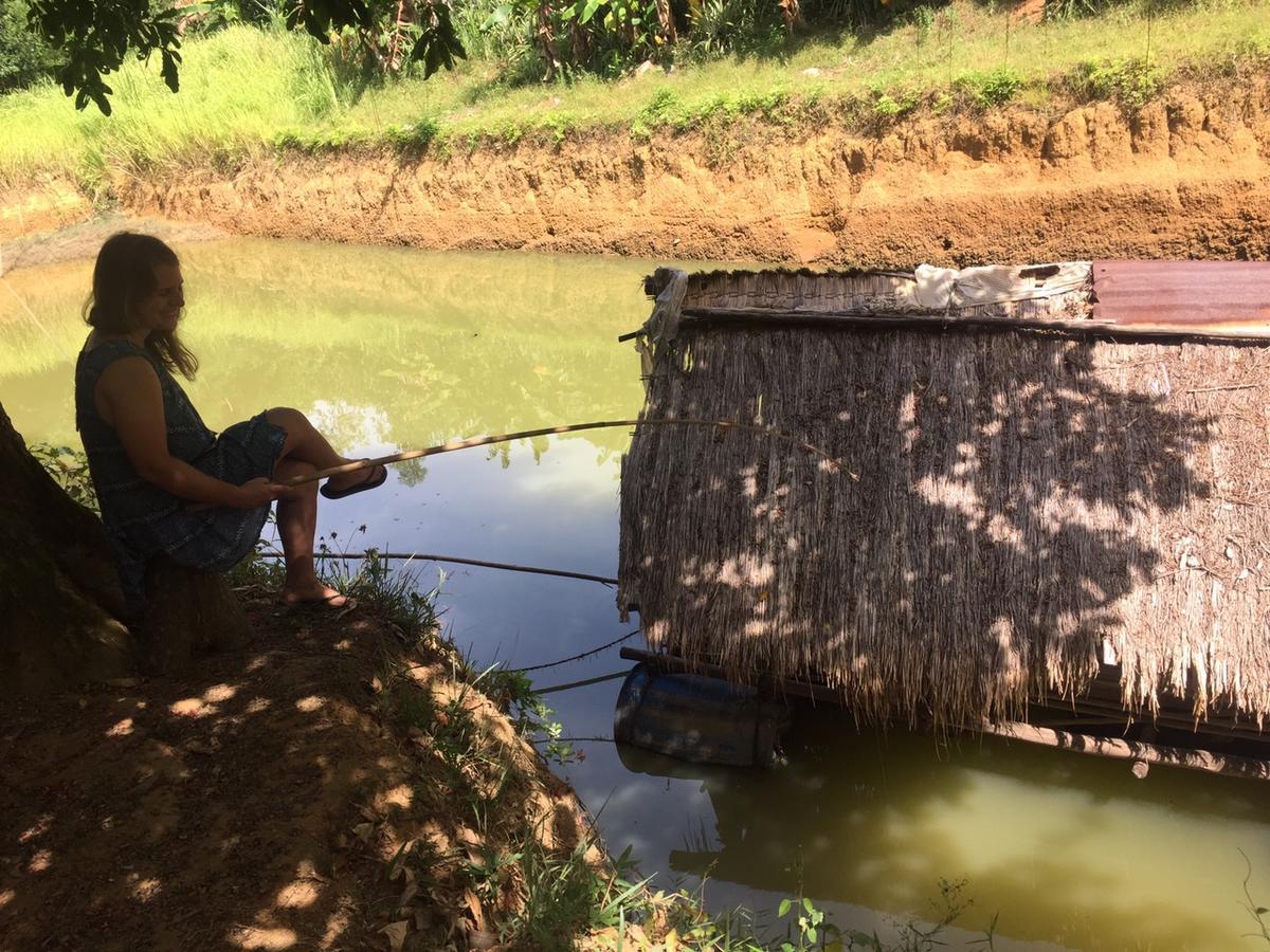 Phong Nha Rice Field Homestay Extérieur photo