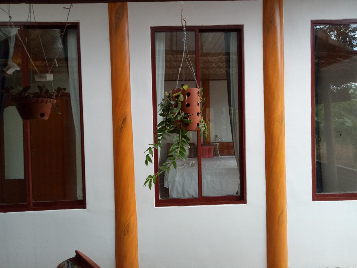 Phong Nha Rice Field Homestay Extérieur photo