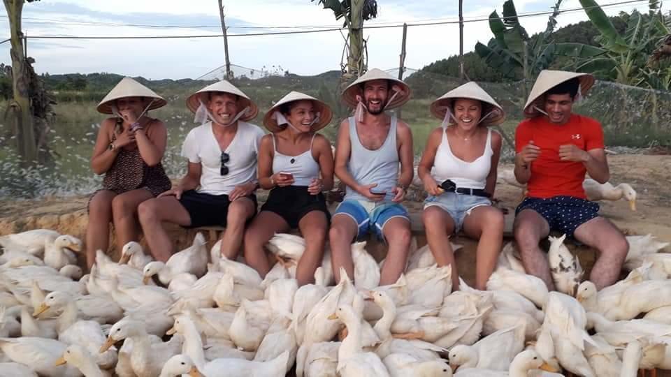 Phong Nha Rice Field Homestay Extérieur photo